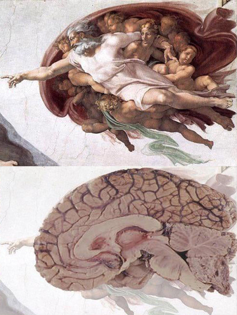 Michelangelo’s The Creation of Adam on the Sistine Chapel ceiling, featuring the hidden anatomical outline of a human brain surrounding God, symbolising the connection between divine intelligence and human consciousness.